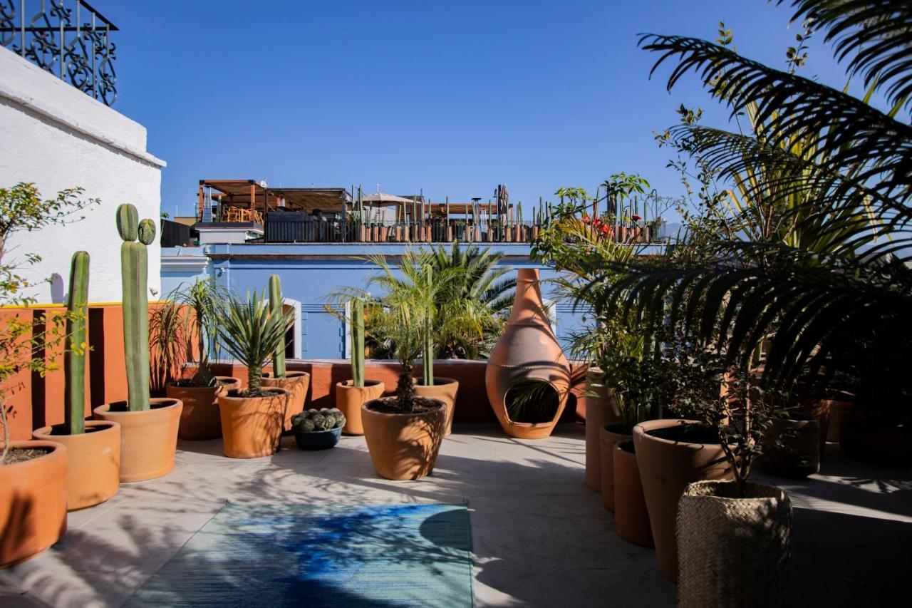 Hotel Los Amantes Oaxaca Ngoại thất bức ảnh