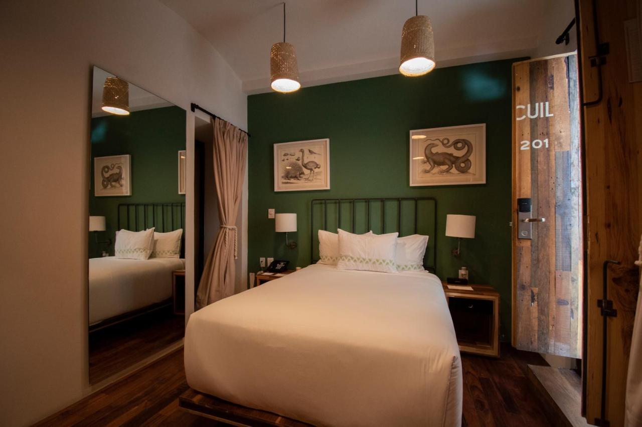 Hotel Los Amantes Oaxaca Ngoại thất bức ảnh