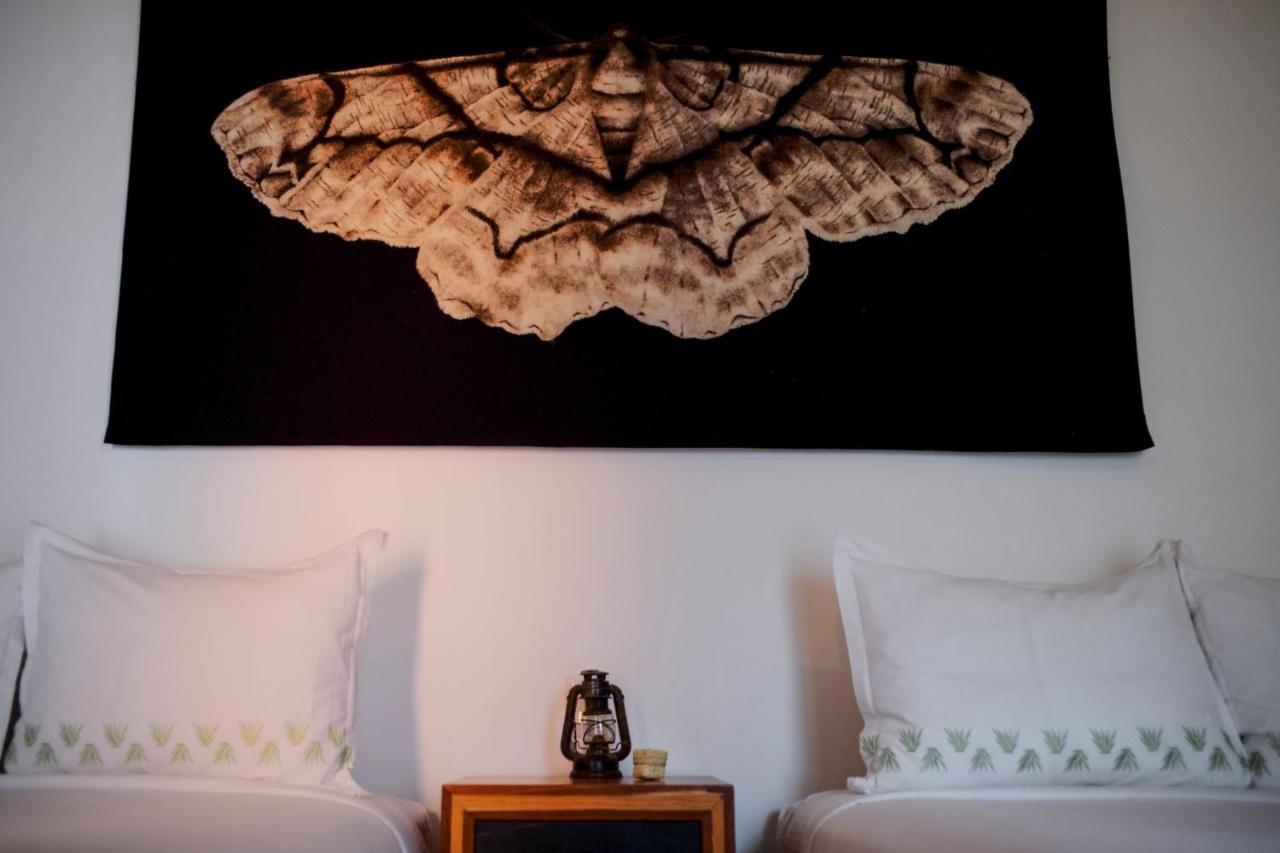 Hotel Los Amantes Oaxaca Ngoại thất bức ảnh
